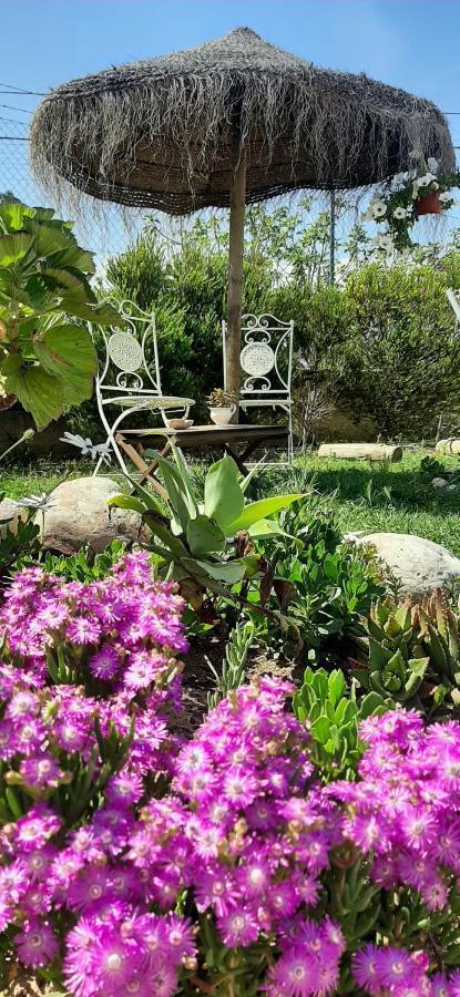 Blacksheep Sagres Guesthouse & Surf Esterno foto