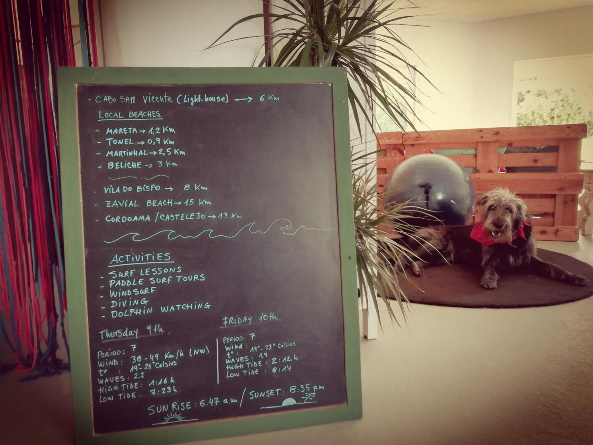 Blacksheep Sagres Guesthouse & Surf Esterno foto