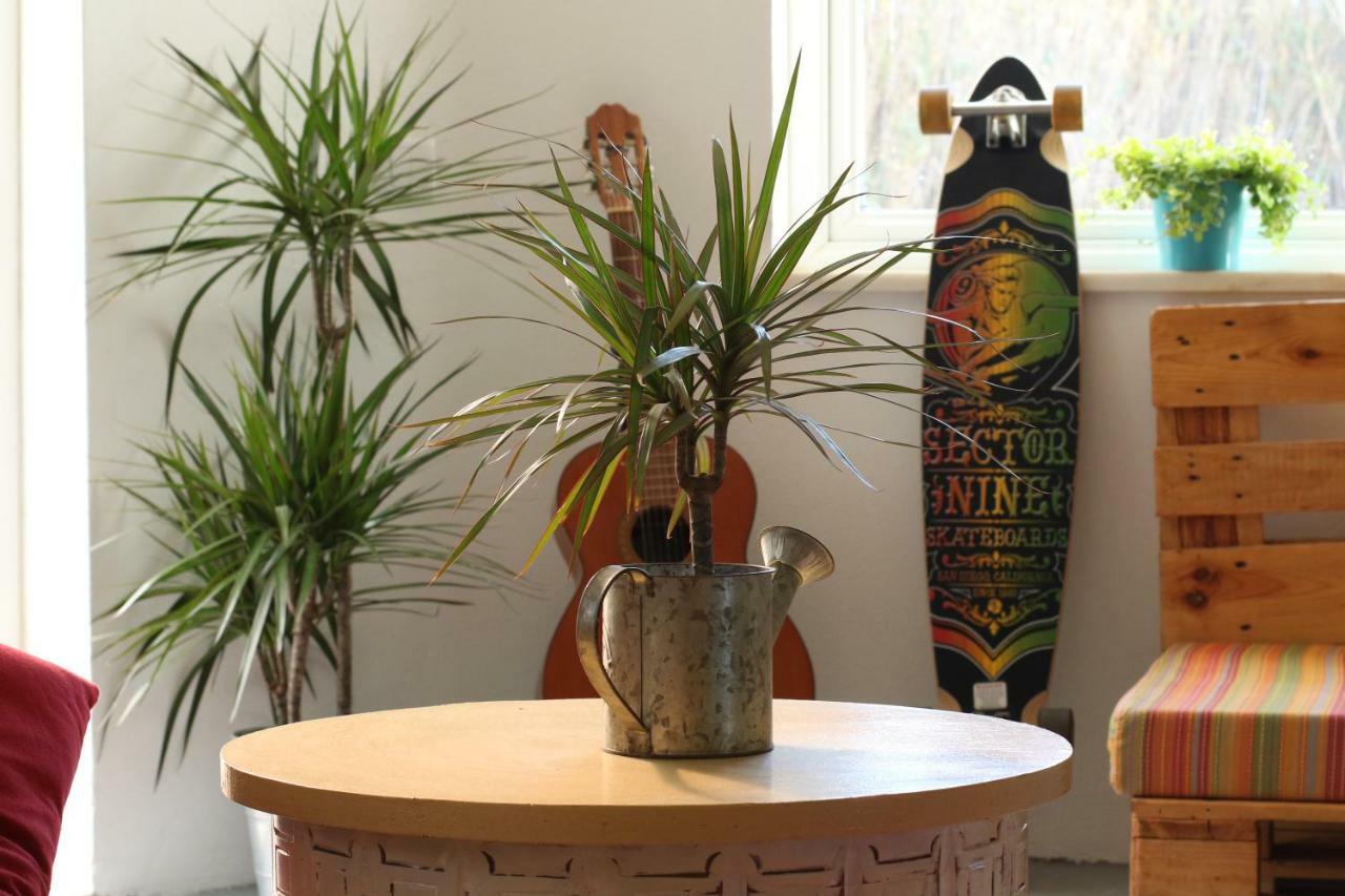 Blacksheep Sagres Guesthouse & Surf Esterno foto